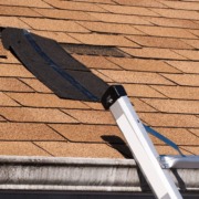 roof shingle damaged