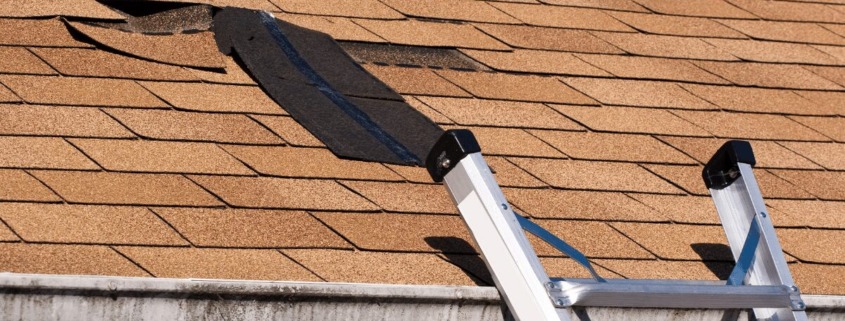 roof shingle damaged